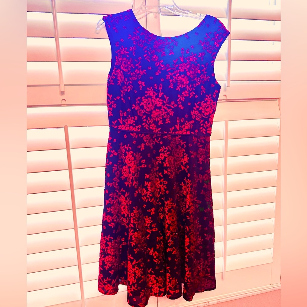 Beautiful Black & Red Tahari Arthur S. Levine Fit & Flare Dress - 10